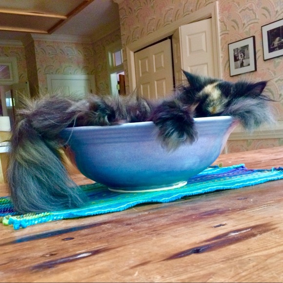 BOWL ME OVER WITH AN OFFER 😍🌺😍🌺😍🌺😍🌺😍!! - Picture 4 of 8